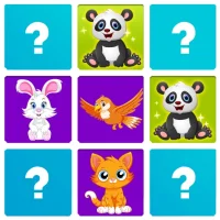 Pair Match - Brain Puzzle